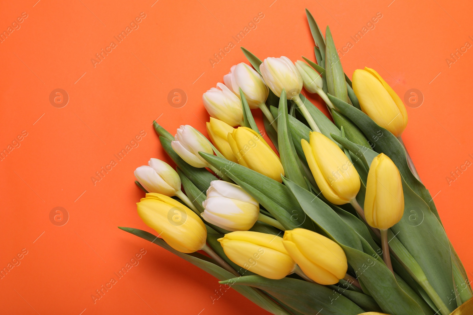 Photo of Bouquet of beautiful yellow tulips on orange background, top view