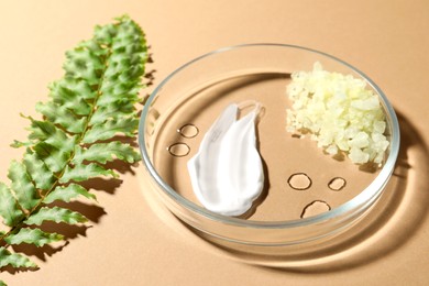 Photo of Petri dish with different samples and leaf on beige background