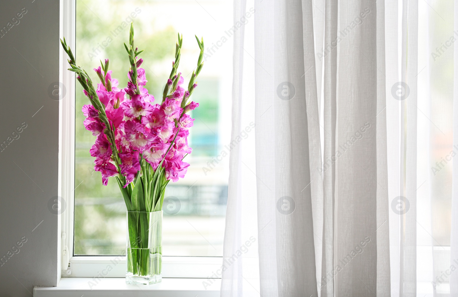 Photo of Vase with beautiful pink gladiolus flowers on windowsill, space for text