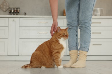 Woman petting cute cat in kitchen at home, closeup