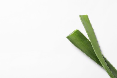 Green aloe vera leaves on white background, top view. Space for text