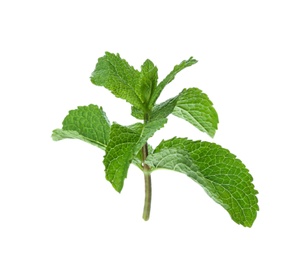 Photo of Leaves of fresh mint isolated on white