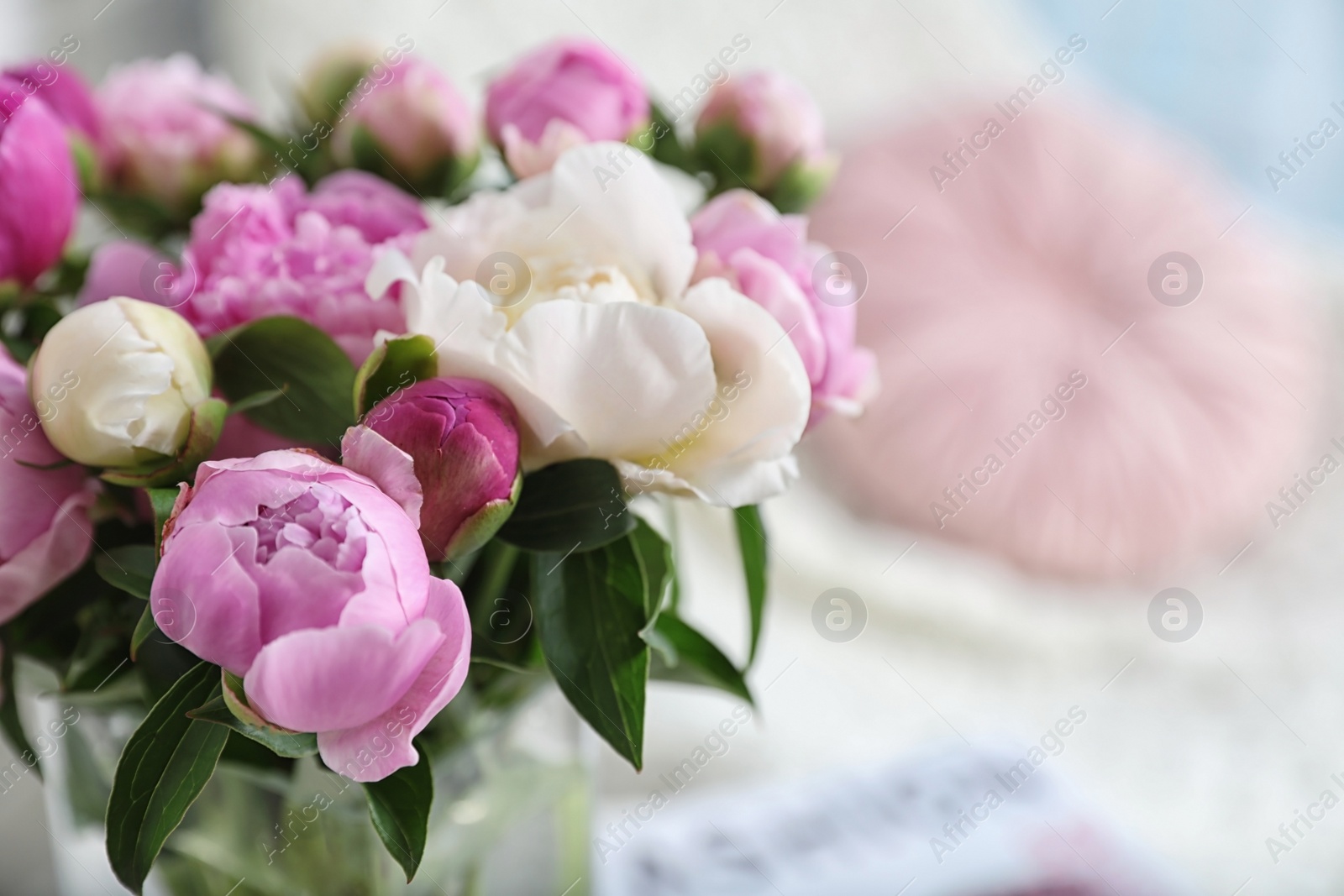 Photo of Bouquet of beautiful peonies in room, closeup. Space for text