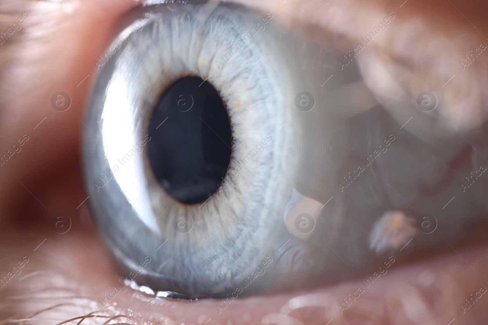 Photo of Macro photo of woman with beautiful blue eyes