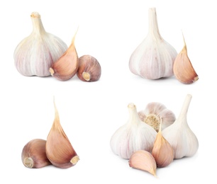 Image of Set of garlic bulbs and cloves on white background