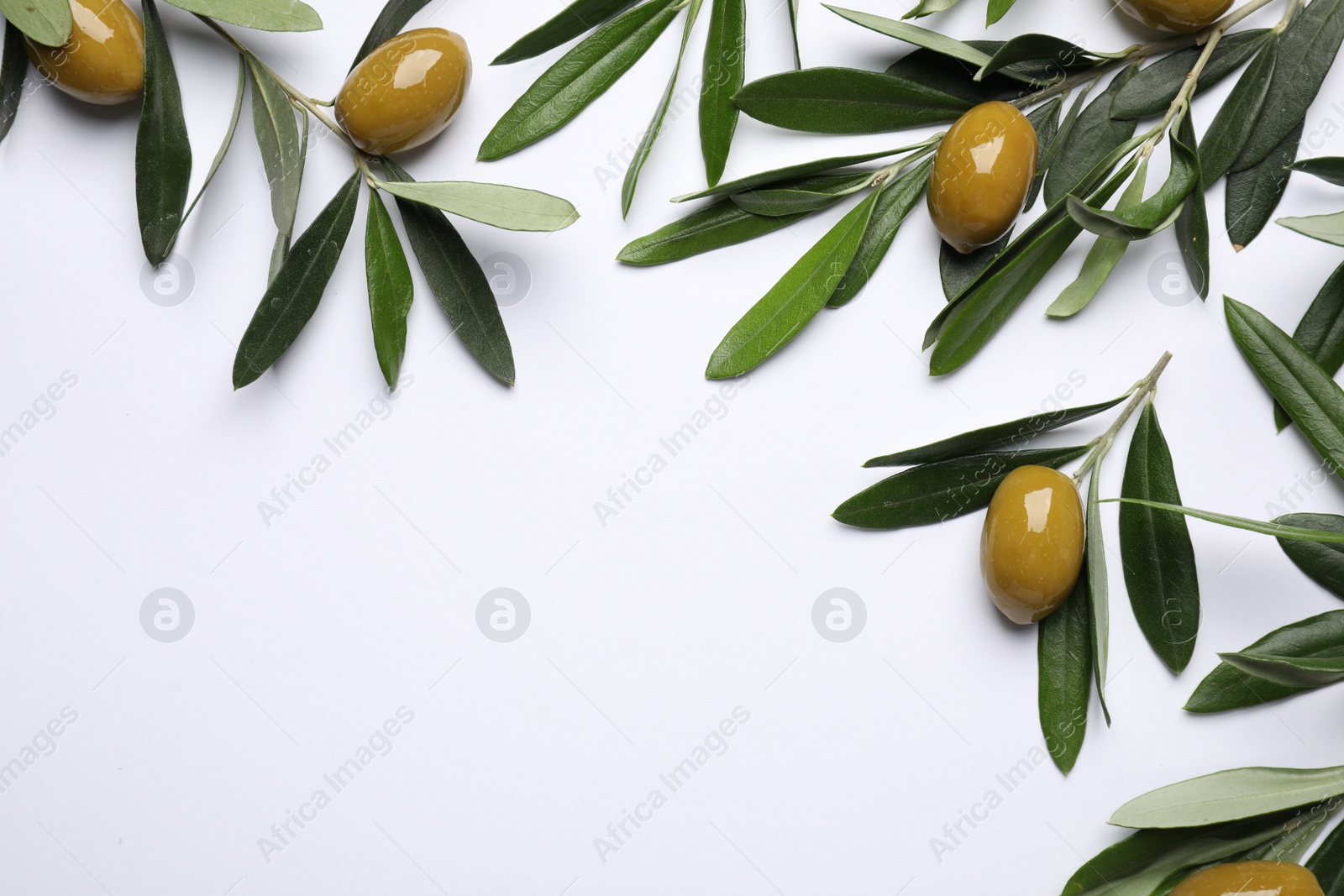 Photo of Twigs with olives and fresh green leaves on white background, flat lay. Space for text