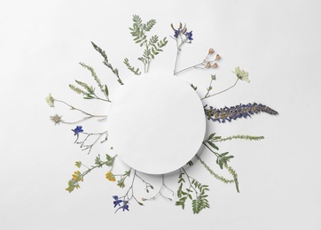 Wild dried meadow flowers on white background, top view