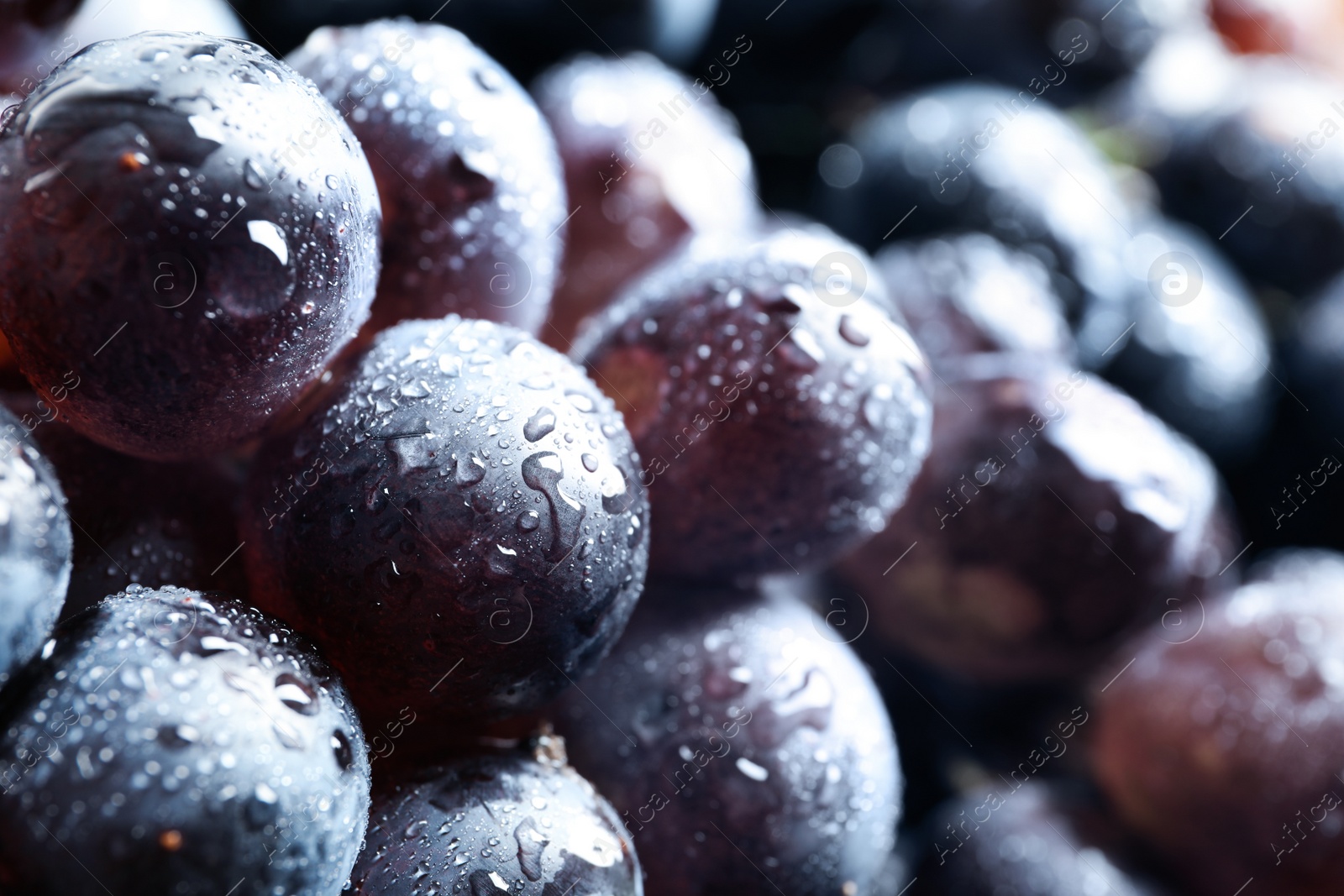 Photo of Bunch of fresh ripe juicy grapes as background. Closeup view