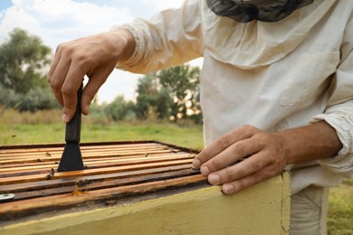 Photo of Beekeeper in uniform taking honey frame from hive at apiary, closeup