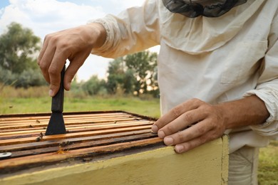 Beekeeper in uniform taking honey frame from hive at apiary, closeup