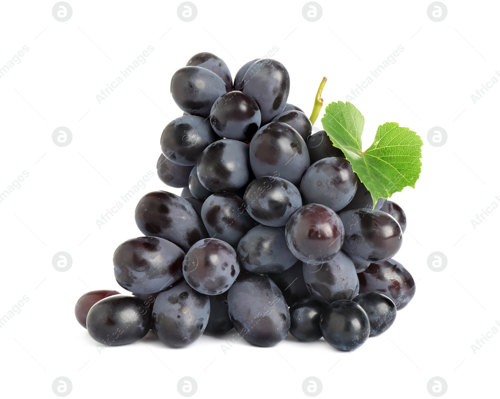 Photo of Bunch of fresh ripe juicy dark blue grapes with leaf isolated on white