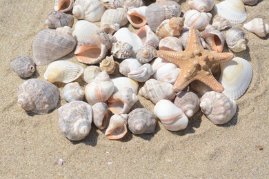 Photo of Beautiful starfish and sea shells on sandy beach