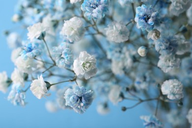 Photo of Many beautiful dyed gypsophila flowers on light blue background, closeup