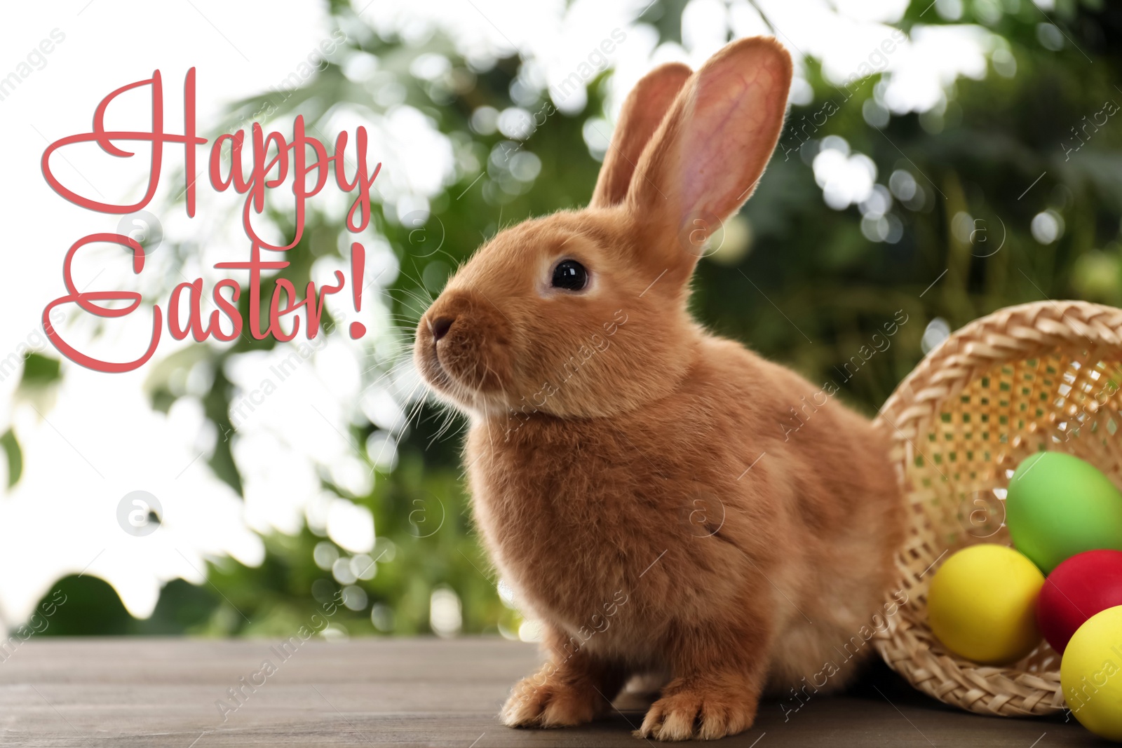 Image of Happy Easter! Cute bunny and basket with dyed eggs on table outdoors