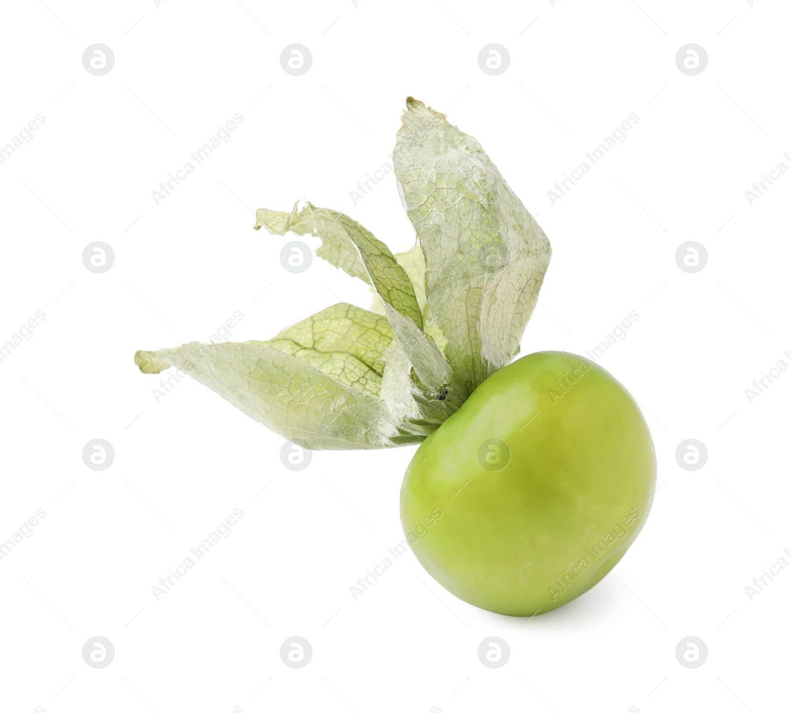 Photo of Fresh green tomatillo with husk isolated on white