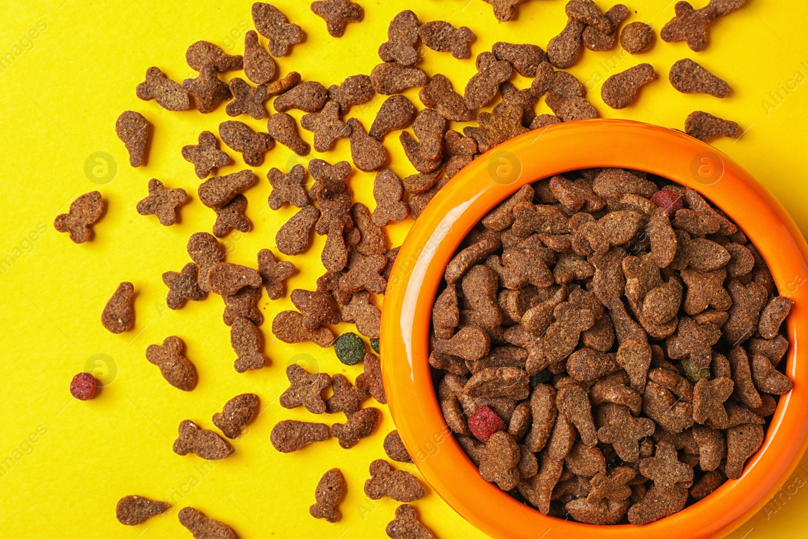 Photo of Bowl with food for cat or dog on color background. Pet care