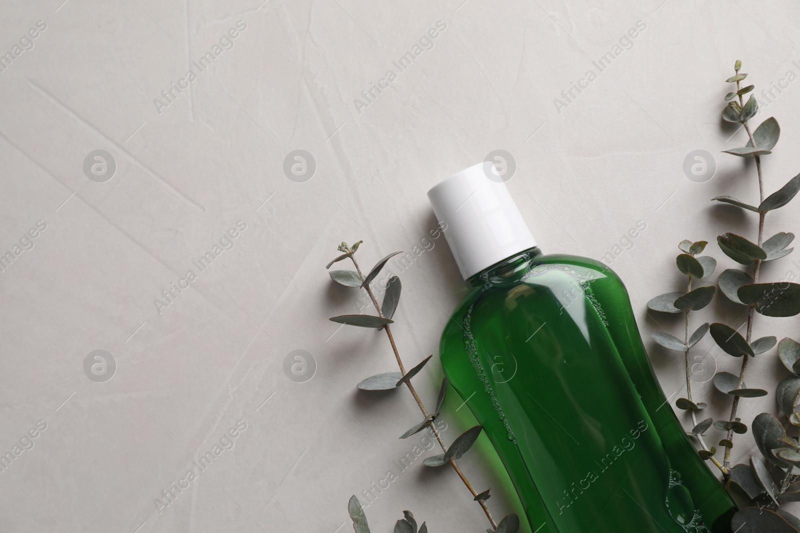 Photo of Fresh mouthwash in bottle and eucalyptus branches on light background, top view. Space for text