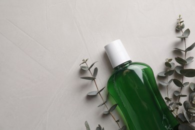 Fresh mouthwash in bottle and eucalyptus branches on light background, top view. Space for text