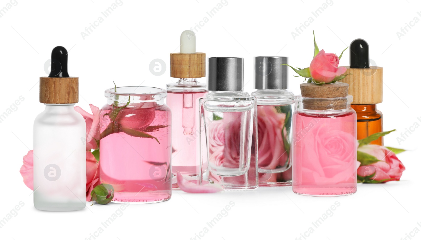 Image of Set with bottles of essential rose oil and flowers on white background