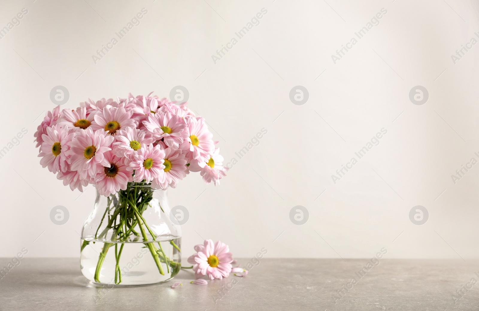 Photo of Vase with beautiful chamomile flowers on table against light background. Space for text