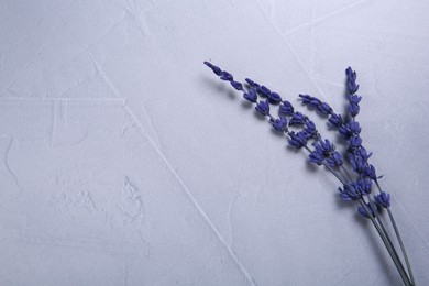 Photo of Beautiful preserved lavender flowers on light grey textured table, top view. Space for text