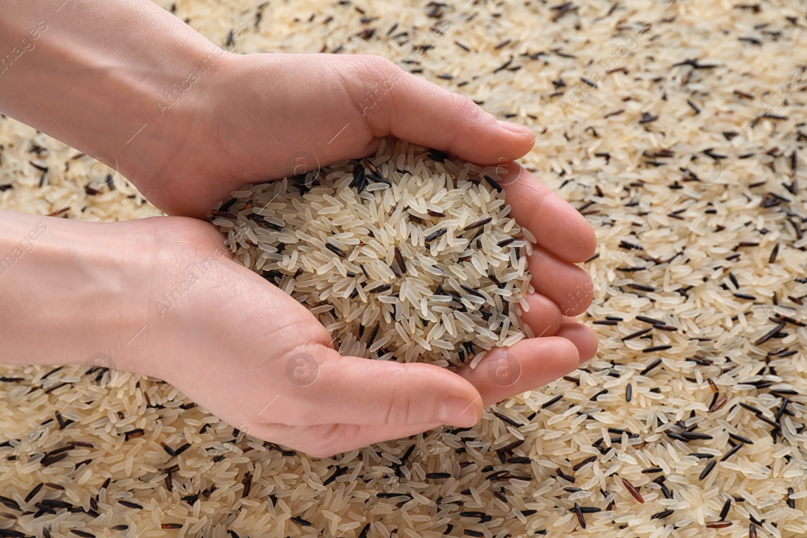 Photo of Woman holding mix of brown and polished rice over grains, closeup