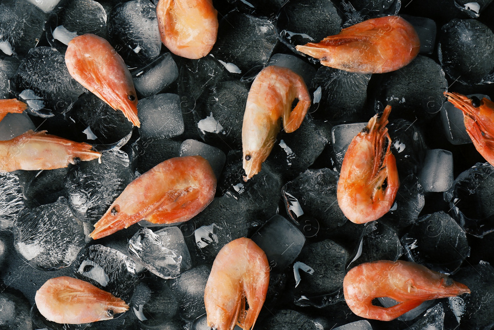 Photo of Flat lay composition with shrimps and ice cubes on dark background