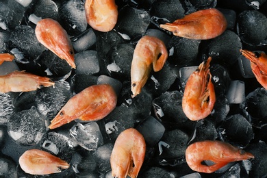 Photo of Flat lay composition with shrimps and ice cubes on dark background