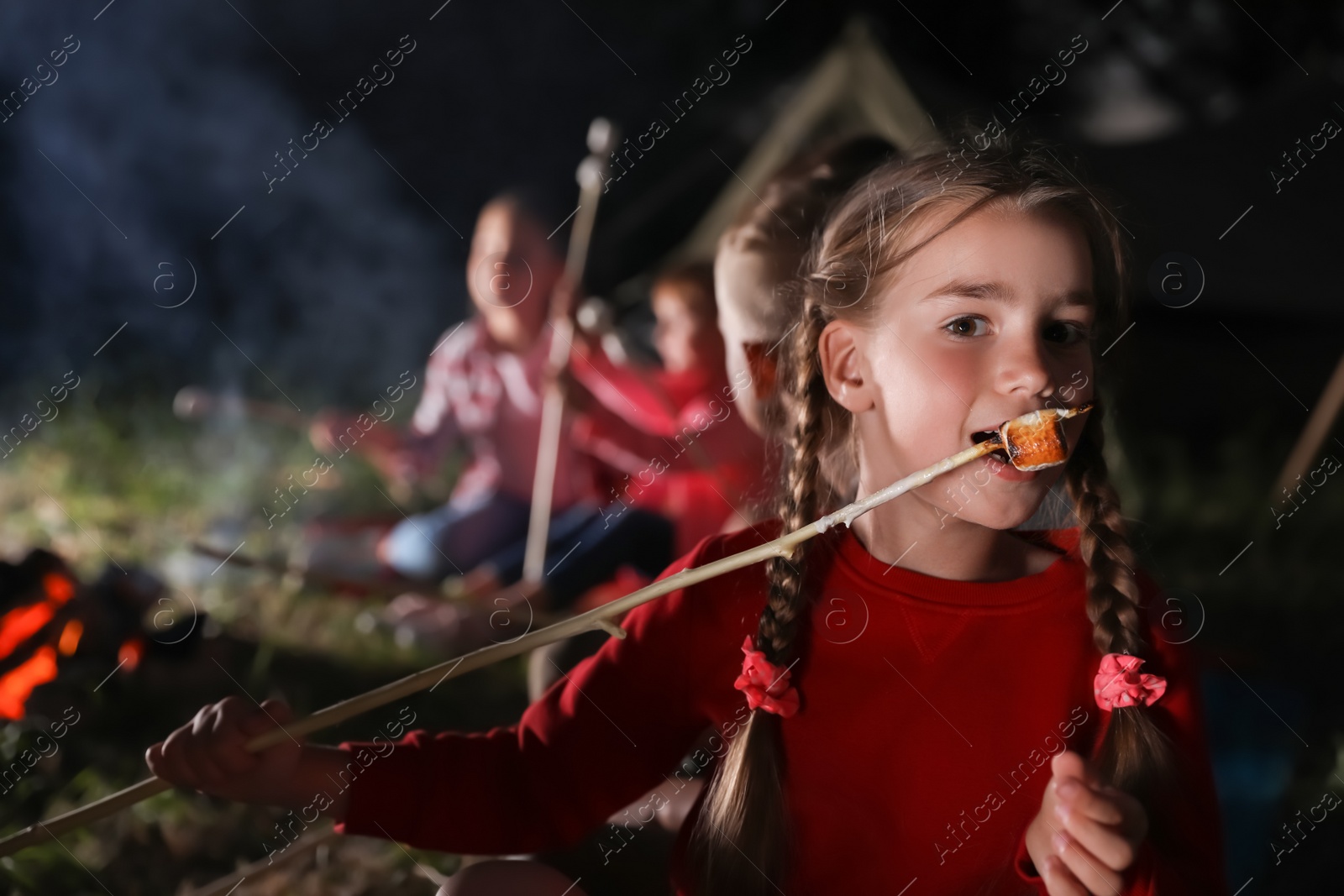 Photo of Adorable little girl with roasted marshmallow near bonfire at night. Summer camp