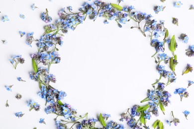 Round frame of beautiful forget-me-not flowers on white background, top view. Space for text