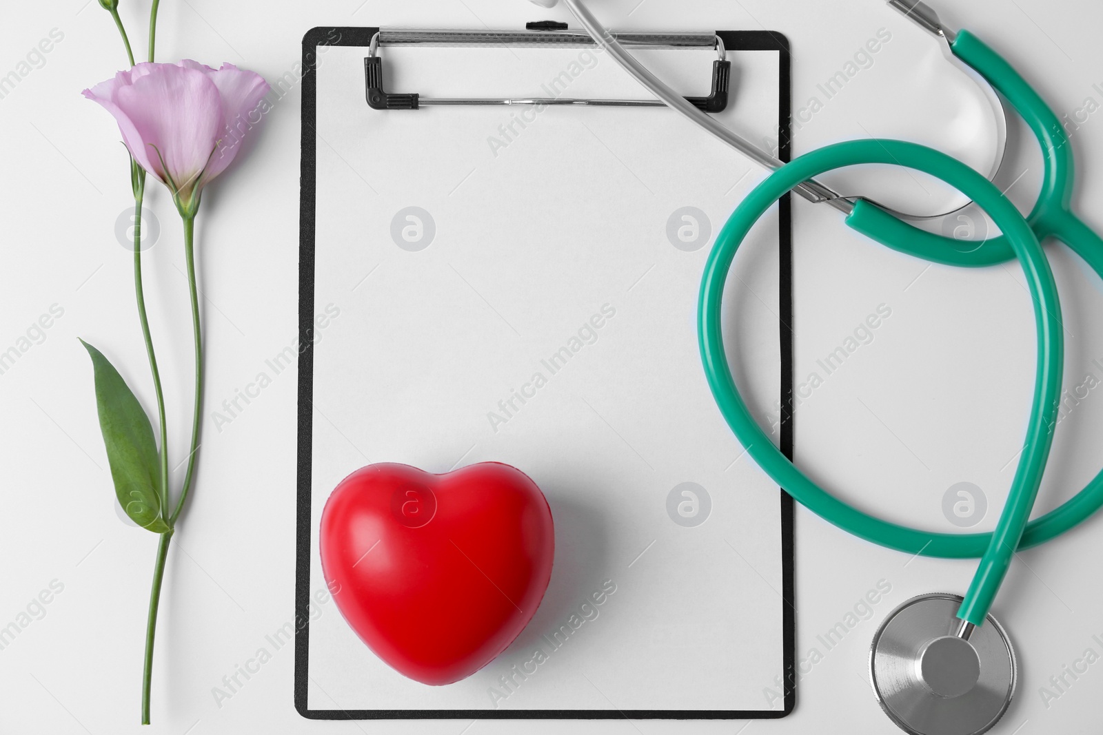 Photo of Composition with stethoscope and flower on white background. World health day