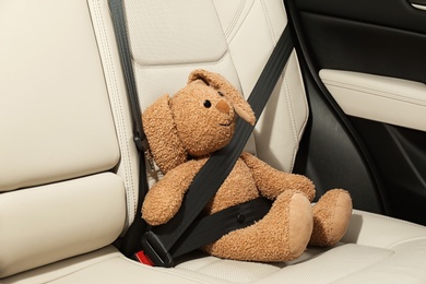 Photo of Cute stuffed toy rabbit buckled in backseat of car