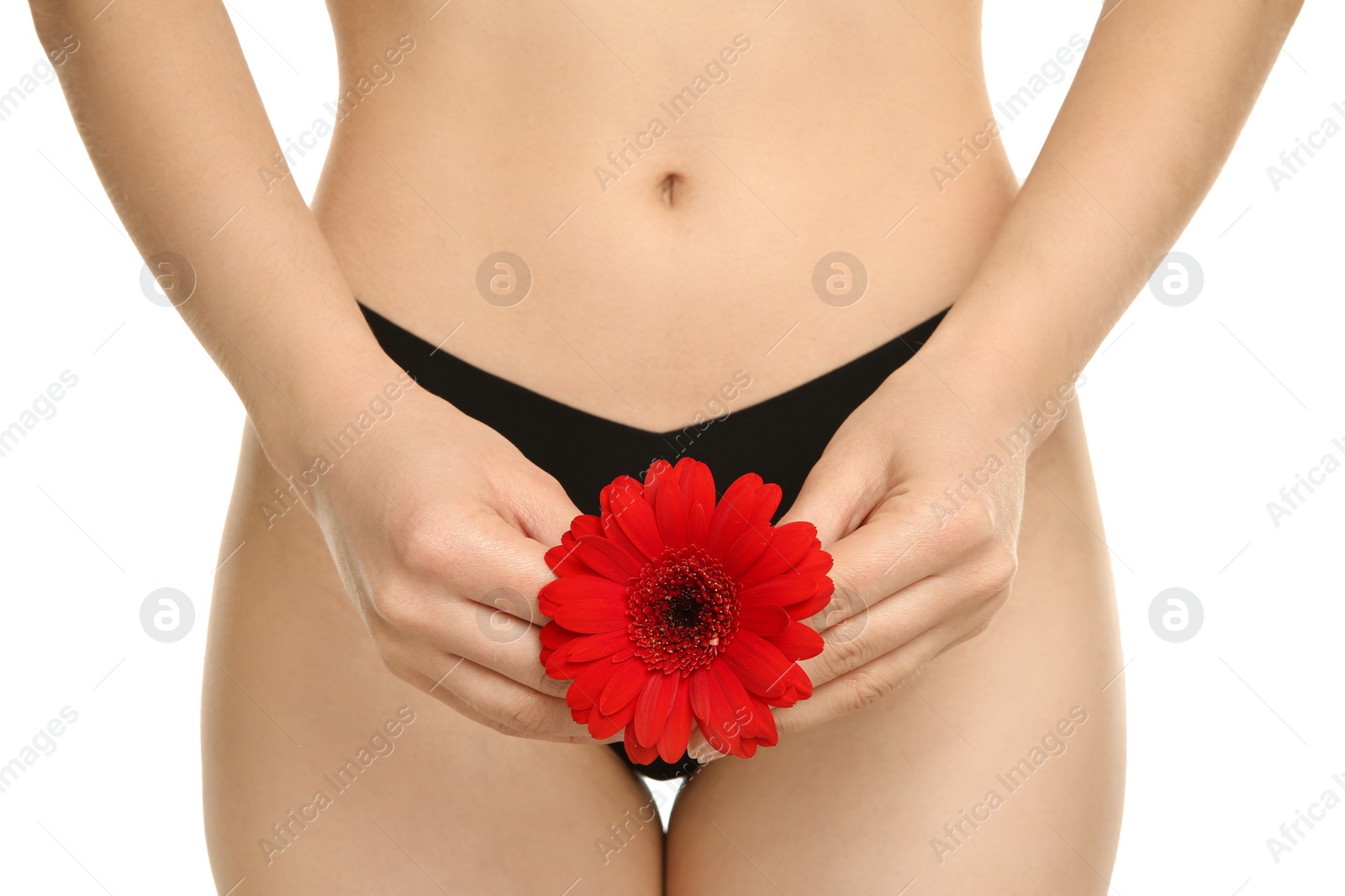 Photo of Gynecology. Woman in underwear with gerbera flower on white background, closeup