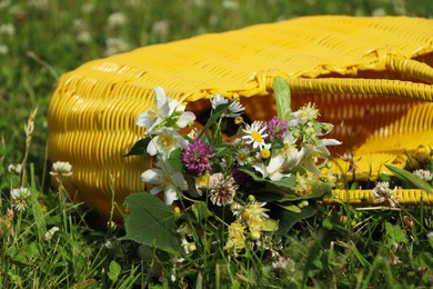 Yellow wicker bag with different wildflowers and herbs in meadow on sunny day, closeup