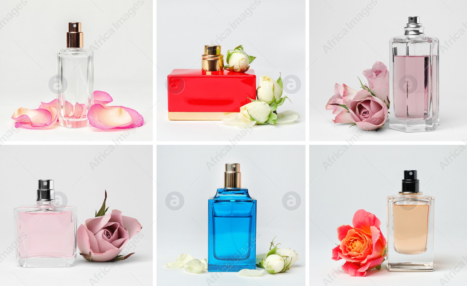 Image of Set with different bottles of perfume and flowers on white background