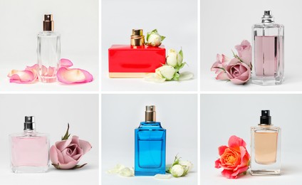 Image of Set with different bottles of perfume and flowers on white background