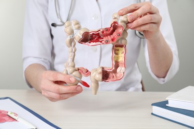 Photo of Doctor with model of large intestine at wooden table, closeup
