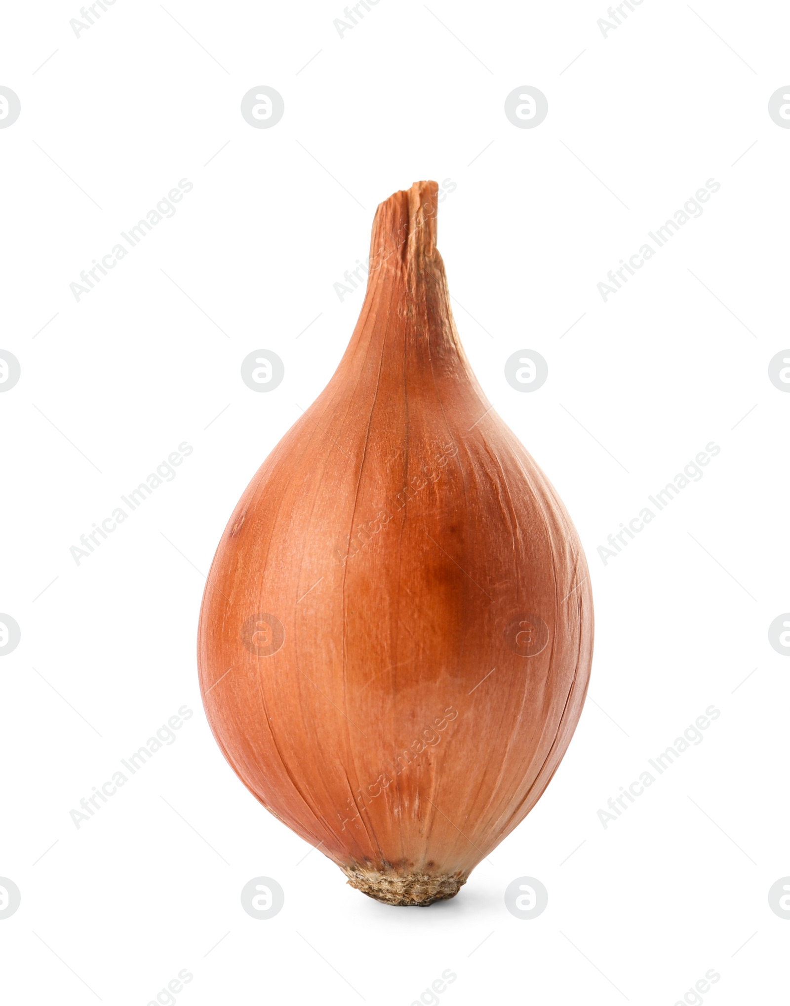 Photo of Fresh ripe onion on white background