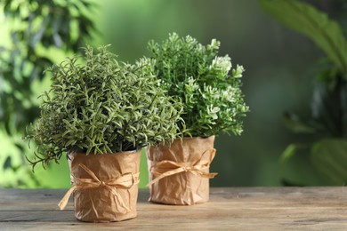 Photo of Aromatic rosemary and thyme growing in pots on wooden table outdoors , space for text