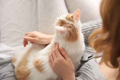 Photo of Woman with cute fluffy cat on bed, closeup