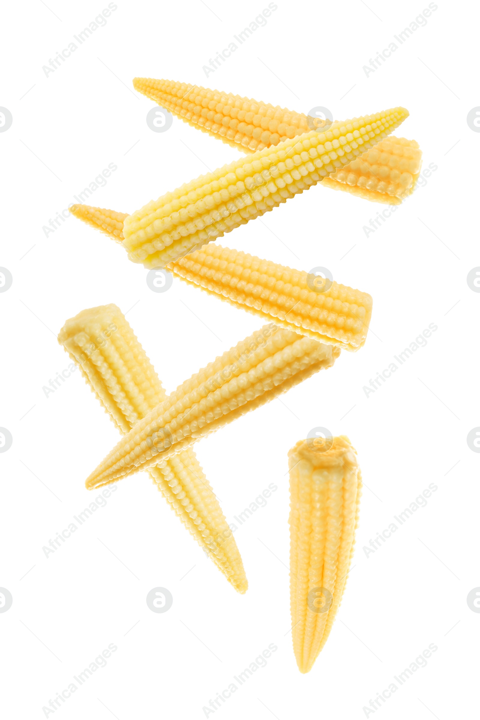 Image of Tasty baby corn cobs flying on white background