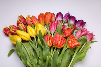 Photo of Beautiful colorful tulip flowers on white background, closeup