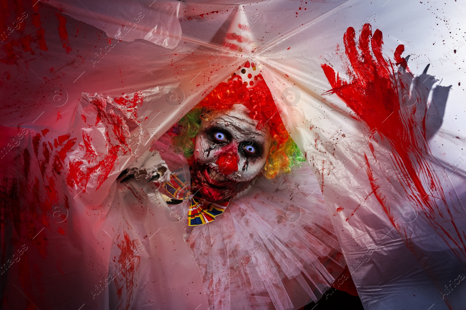 Photo of Terrifying clown staring through hole in torn bloodstained plastic film. Halloween party costume