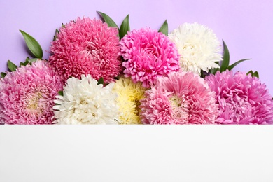 Photo of Flat lay composition with blank card and beautiful asters on lilac background, space for text. Autumn flowers