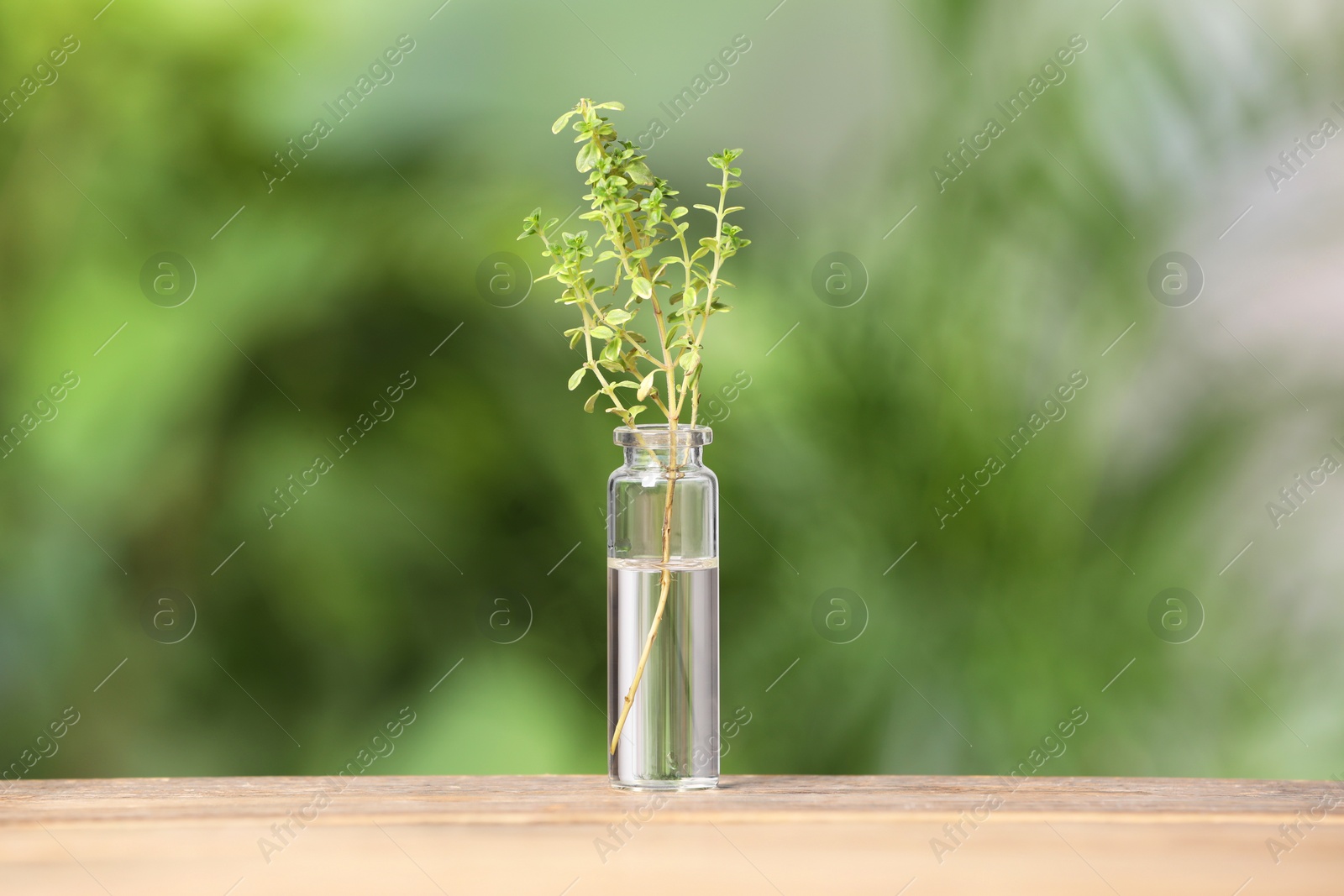 Photo of One bottle with essential oil and thyme on wooden table against blurred green background