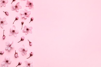 Photo of Beautiful spring tree blossoms as border on pink background, flat lay. Space for text