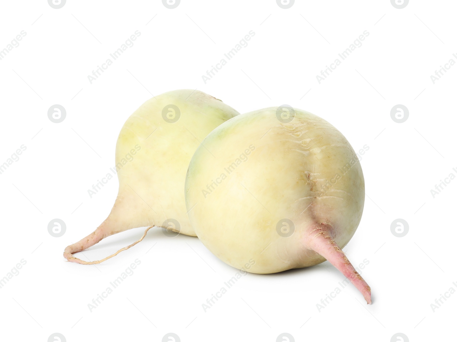 Photo of Whole fresh ripe turnips on white background