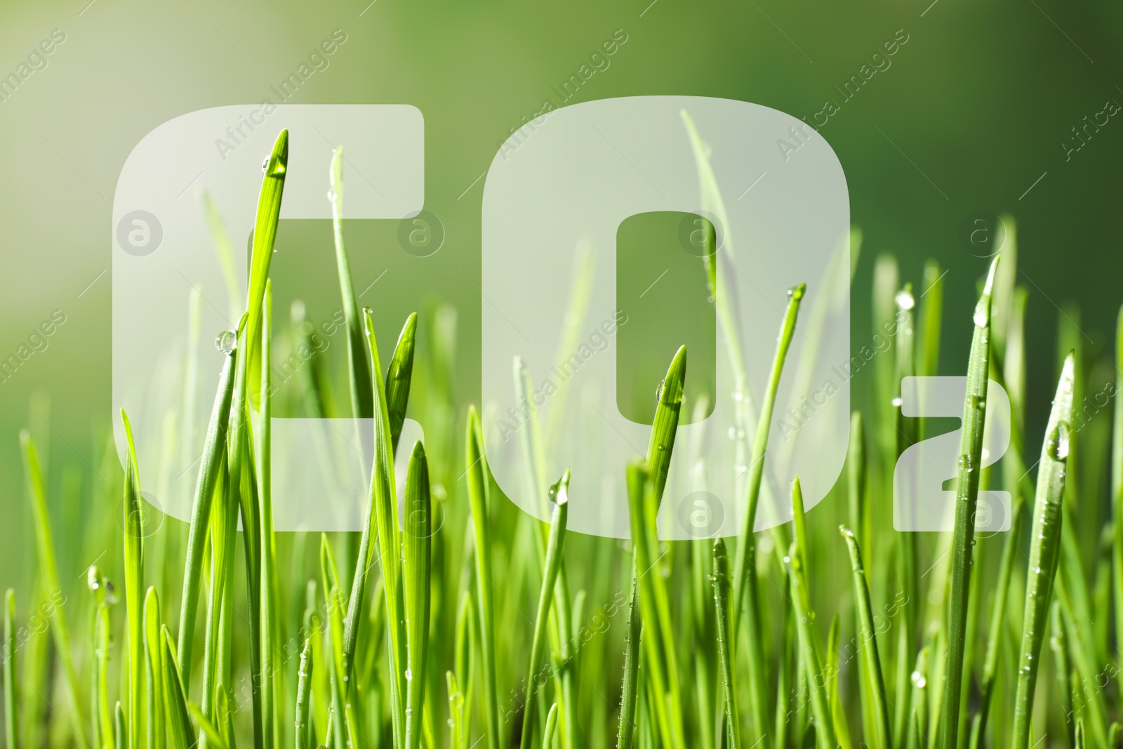 Image of Concept of clear air. CO2 inscription and green grass