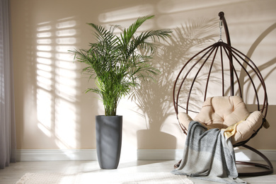 Photo of Beautiful large palm in room. Element of interior design