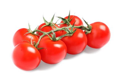 Branch of fresh cherry tomatoes isolated on white